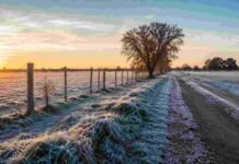 El jueves 2 de julio podría ser el día más frío del año: ola polar con heladas, nevadas y hasta -2 °C en la pampa húmeda Campo argentino cubierto por una intensa helada al amanecer, con escarcha sobre el pasto y camino rural bajo un cielo despejado durante el ingreso de una masa de aire polar.