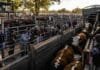 Cierre del mercado de hacienda el 3 de junio