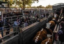 Cierre del mercado de hacienda el 3 de junio