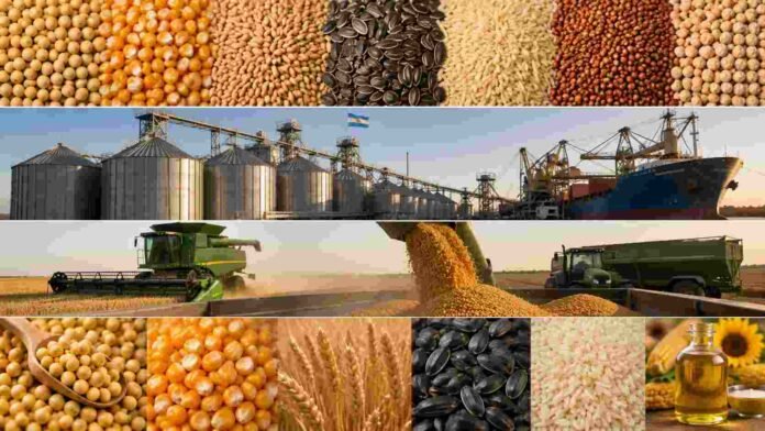 Composición panorámica del mercado de granos argentino con soja, maíz, trigo, girasol, sorgo y arroz, junto a silos, puerto exportador y maquinaria agrícola vinculada a la cadena comercial agroindustrial.