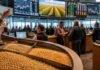 Granos: subió la soja, el maíz se mantuvo estable y el trigo siguió sin reacción Mercado de granos con soja, maíz y trigo en un entorno moderno de comercialización agrícola