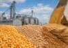 Sin Chicago, el mercado argentino cerró la semana con soja estable y bajas en maíz Granos de maíz, soja y trigo en primer plano frente a silos de almacenamiento y una operación de descarga en una planta agroindustrial.