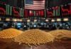 Los fondos especulativos tiraron 38 millones de toneladas al mercado y los precios de los granos cayeron en todo el mundo Granos de soja, maíz y trigo en primer plano con un mercado internacional de commodities al fondo, representando la influencia de los fondos especulativos sobre los precios agrícolas.