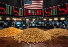 Los fondos especulativos tiraron 38 millones de toneladas al mercado y los precios de los granos cayeron en todo el mundo Granos de soja, maíz y trigo en primer plano con un mercado internacional de commodities al fondo, representando la influencia de los fondos especulativos sobre los precios agrícolas.