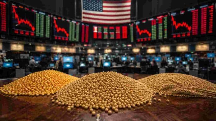 Granos de soja, maíz y trigo en primer plano con un mercado internacional de commodities al fondo, representando la influencia de los fondos especulativos sobre los precios agrícolas.