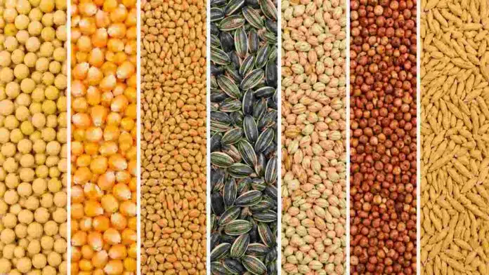 mercado-granos-soja-maiz-trigo-girasol-sorgo Composición de granos agrícolas en franjas verticales separadas, mostrando soja, maíz, trigo, girasol, sorgo y cebada, utilizada para ilustrar mercados y cotizaciones de granos.