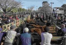 Cierre del mercado de hacienda el 19 de junio