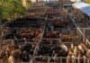 Cierre del mercado de hacienda el 30 de junio
