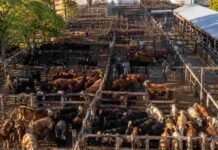 Cierre del mercado de hacienda el 30 de junio
