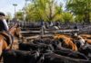 Cierre del mercado de hacienda el 24 de junio