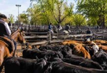 Cierre del mercado de hacienda el 24 de junio