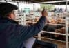 Cierre del mercado de hacienda el 5 de junio