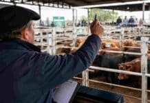 Cierre del mercado de hacienda el 5 de junio
