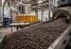 La molienda de girasol alcanzó un récord y ya representa casi el 13% del procesamiento de oleaginosas Planta industrial de molienda de girasol con semillas avanzando por una cinta transportadora y botellas de aceite en el fondo.
