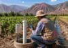 El INTA descubrió que muchos productores del NOA están usando el agua subterránea sin saber cuánta les queda Técnico realizando monitoreo de agua subterránea en un sistema de riego agrícola del noroeste argentino, con cultivos irrigados y paisaje de valle árido de montaña al fondo.