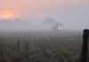 Niebla densa cubre media Argentina: visibilidad muy reducida Campo agrícola de la región pampeana cubierto por una densa niebla al amanecer, con un tractor de luces encendidas avanzando entre el rastrojo, alambrado con gotas de rocío en primer plano y luz rosada filtrándose en el horizonte.
