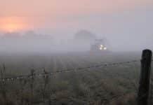 Niebla densa cubre media Argentina: visibilidad muy reducida Campo agrícola de la región pampeana cubierto por una densa niebla al amanecer, con un tractor de luces encendidas avanzando entre el rastrojo, alambrado con gotas de rocío en primer plano y luz rosada filtrándose en el horizonte.