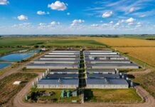 Una planta cordobesa convirtió residuos agroindustriales en biogás y se convirtió en la primera del país en certificar créditos de carbono Planta agroindustrial de biogás en zona rural, rodeada de campos agrícolas bajo cielo despejado.