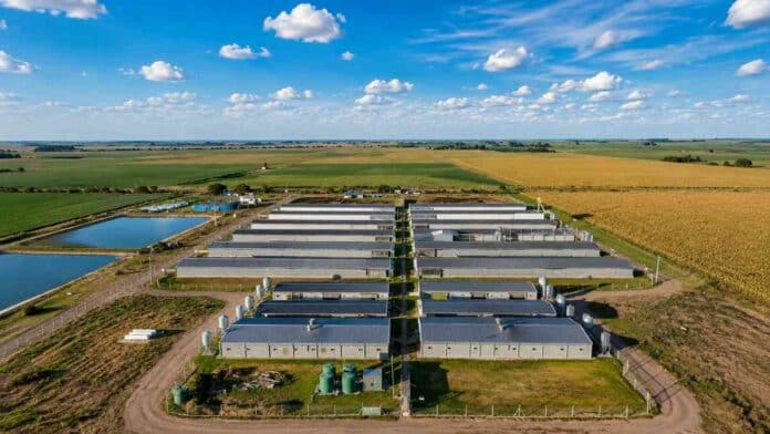 Planta agroindustrial de biogás en zona rural, rodeada de campos agrícolas bajo cielo despejado.