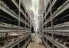 38.000 kilos por semana, todo el año: la empresa que cuadruplicó su rendimiento y abastece la mitad del mercado de hongos del país Instalación industrial de cultivo de hongos comestibles con estanterías de producción en ambiente controlado.