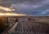 El SMN activó tres alertas por lluvia, viento y nieve en NOA, Cuyo y Patagonia Vista aérea de chacras de manzanas en Allen, Río Negro, bajo tormenta con lluvia fuerte, viento, nieve en movimiento y luz dramática de atardecer.