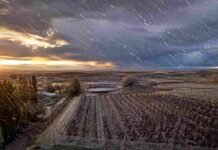 El SMN activó tres alertas por lluvia, viento y nieve en NOA, Cuyo y Patagonia Vista aérea de chacras de manzanas en Allen, Río Negro, bajo tormenta con lluvia fuerte, viento, nieve en movimiento y luz dramática de atardecer.
