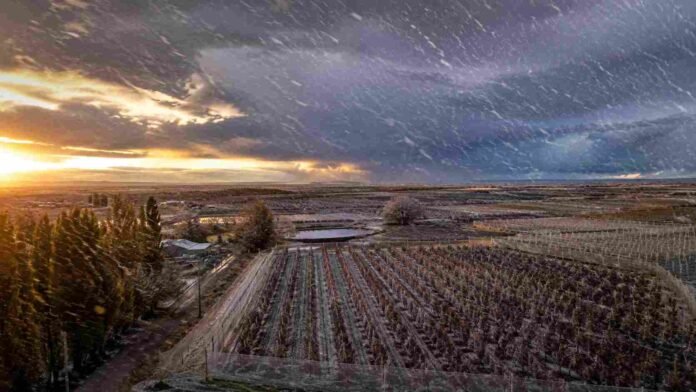 produccion-manzanas-allen-rio-negro-tormenta-nieve Vista aérea de chacras de manzanas en Allen, Río Negro, bajo tormenta con lluvia fuerte, viento, nieve en movimiento y luz dramática de atardecer.