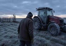 Alerta amarilla por frío extremo en 13 provincias: el SMN advierte sobre riesgos para la salud de grupos vulnerables Productor agropecuario abrigado caminando hacia un tractor Massey Ferguson cubierto de escarcha en un campo argentino con helada intensa, cielo gris y luz fría de amanecer