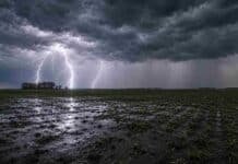 Pronóstico climático invierno 2026: más lluvia y temperaturas por encima de lo normal Tormenta eléctrica sobre un campo agrícola de la región pampeana argentina, con relámpagos ramificados, suelo anegado y cielo cubierto por nubes de tormenta. La imagen representa el pronóstico de lluvias superiores a lo normal para el invierno 2026 en la principal zona productiva del país.