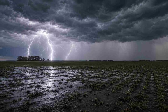 pronostico-climatico-invierno-2026-lluvias-region-pampeana-ruralnet Tormenta eléctrica sobre un campo agrícola de la región pampeana argentina, con relámpagos ramificados, suelo anegado y cielo cubierto por nubes de tormenta. La imagen representa el pronóstico de lluvias superiores a lo normal para el invierno 2026 en la principal zona productiva del país.