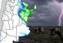 Pronóstico de lluvias hasta el 29 de junio Mapa de pronóstico de lluvias para Argentina con acumulados previstos sobre el centro y noreste del país, acompañado por una escena rural con vacas Holando Argentino pastando bajo una tormenta eléctrica con relámpagos.