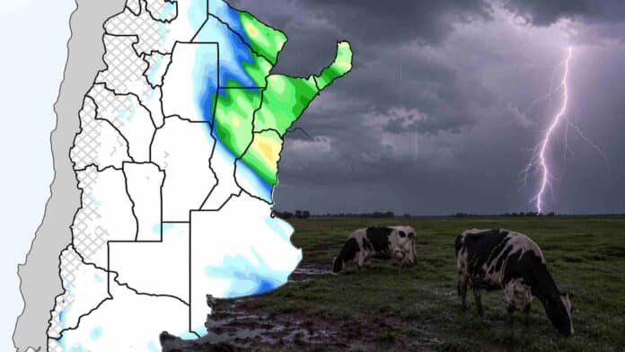 Mapa de pronóstico de lluvias para Argentina con acumulados previstos sobre el centro y noreste del país, acompañado por una escena rural con vacas Holando Argentino pastando bajo una tormenta eléctrica con relámpagos.