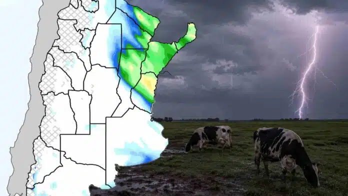 Mapa de pronóstico de lluvias para Argentina con acumulados previstos sobre el centro y noreste del país, acompañado por una escena rural con vacas Holando Argentino pastando bajo una tormenta eléctrica con relámpagos.