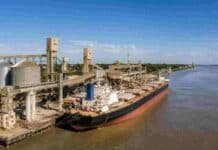 El puerto de una ciudad entrerriana encontró la forma de llegar a Europa con soja diferenciada Buque carguero en el puerto de Concepción del Uruguay, Entre Ríos, durante una operación de exportación de harina de soja.