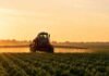 Absolvieron a siete productores en el juicio por fitosanitarios de Pergamino y el fallo puede sentar precedente nacional Pulverizadora agrícola aplicando fitosanitarios sobre un cultivo de soja al amanecer, con luz dorada y paisaje rural argentino de fondo, sin presencia de personas.
