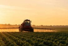 Absolvieron a siete productores en el juicio por fitosanitarios de Pergamino y el fallo puede sentar precedente nacional Pulverizadora agrícola aplicando fitosanitarios sobre un cultivo de soja al amanecer, con luz dorada y paisaje rural argentino de fondo, sin presencia de personas.