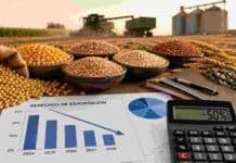 Milei le bajó a la mitad los impuestos a la exportación del campo hasta 2028 Granos de soja, maíz, trigo, girasol y sorgo junto a herramientas de análisis económico en un entorno agroindustrial, representando la reducción de los derechos de exportación y su impacto en el sector agropecuario argentino.