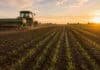Siembra de trigo en Entre Ríos avanza al 65% Tractor sembrando trigo en un lote agrícola de Entre Ríos al atardecer, con surcos recién implantados y condiciones favorables para el avance de la campaña 2026/27.