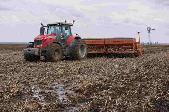 Tractor Massey Ferguson con sembradora Agrometal realizando siembra de trigo sobre un campo en barbecho con rastrojo de soja y suelo húmedo, con un molino rural visible a lo lejos.