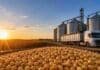 Pese al derrumbe de Chicago, la soja logró sostener los precios y lideró los negocios en Rosario Granos de soja en primer plano frente a silos de almacenamiento y un camión de carga en una planta de acopio agrícola al atardecer.