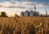 Desde enero de 2027 la soja argentina tendrá que probar que no viene de zonas deforestadas para entrar a Europa Lote de soja argentina próximo a cosecha con silos, cosechadora y terminal portuaria al fondo, representando trazabilidad y exportación agroindustrial hacia mercados internacionales.