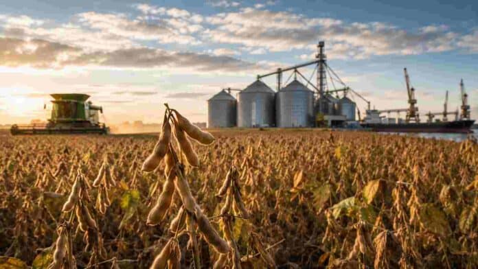 soja-argentina-trazabilidad-exportacion-europa-ruralnet Lote de soja argentina próximo a cosecha con silos, cosechadora y terminal portuaria al fondo, representando trazabilidad y exportación agroindustrial hacia mercados internacionales.