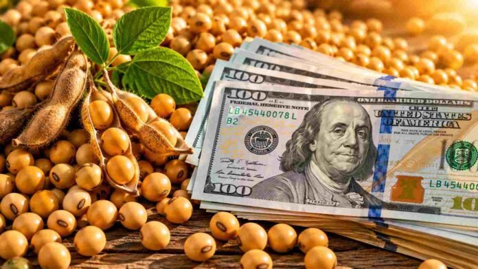 soja-y-dolares-mercado-agricola-ruralnet Semillas de soja y vainas abiertas junto a billetes de 100 dólares estadounidenses, representando la relación entre el mercado agrícola, las exportaciones y el ingreso de divisas al país.