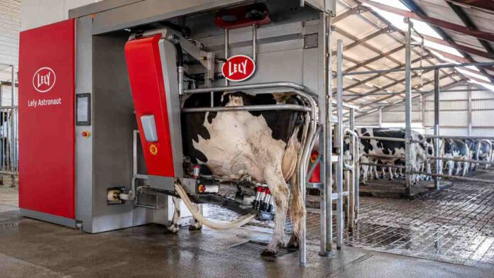 Vaca Holando siendo ordeñada por un robot automático en un tambo tecnificado de Argentina, con monitoreo electrónico y sistema de producción lechera de alta eficiencia.