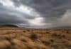 Vientos de 90 km/h y nieve de hasta 30 cm: el SMN alerta a productores de la Cordillera y la Patagonia este miércoles Temporal de viento sobre la estepa patagónica argentina, con pastizales secos inclinados por las ráfagas y nubes oscuras de tormenta en el horizonte.