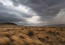 Vientos de 90 km/h y nieve de hasta 30 cm: el SMN alerta a productores de la Cordillera y la Patagonia este miércoles Temporal de viento sobre la estepa patagónica argentina, con pastizales secos inclinados por las ráfagas y nubes oscuras de tormenta en el horizonte.