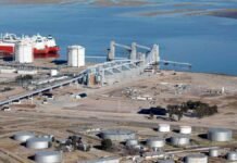 Argentina va a tener una de las plantas de girasol más grandes del mundo Vista aérea de una terminal portuaria e industrial junto a un río, con silos, tanques de almacenamiento y buques de carga destinados a exportación.