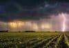 Con el agua a favor, comienza la campaña fina 2026/27 en el sudoeste bonaerense Alt: Tormenta eléctrica con relámpago sobre un campo agrícola argentino con cultivos en surcos y cielo oscuro.