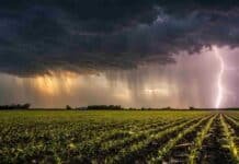 Con el agua a favor, comienza la campaña fina 2026/27 en el sudoeste bonaerense Alt: Tormenta eléctrica con relámpago sobre un campo agrícola argentino con cultivos en surcos y cielo oscuro.