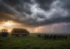 Lluvias y tormentas en el NEA el domingo y heladas en el centro: el pronóstico agropecuario del 27 al 29 de junio Tormenta intensa sobre un campo del litoral argentino con un rodeo de bubalinos y un tractor que remolca un acoplado playo cargado con fardos, bajo un cielo con relámpagos y lluvia al atardecer de invierno.